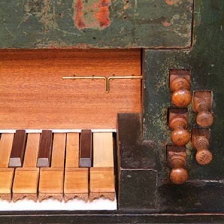 Organ and literature