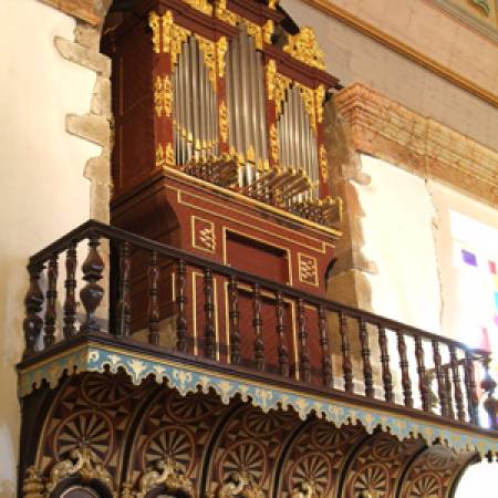 Daniela Moreira: organ