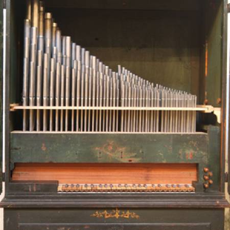 João Paulo Janeiro, organ